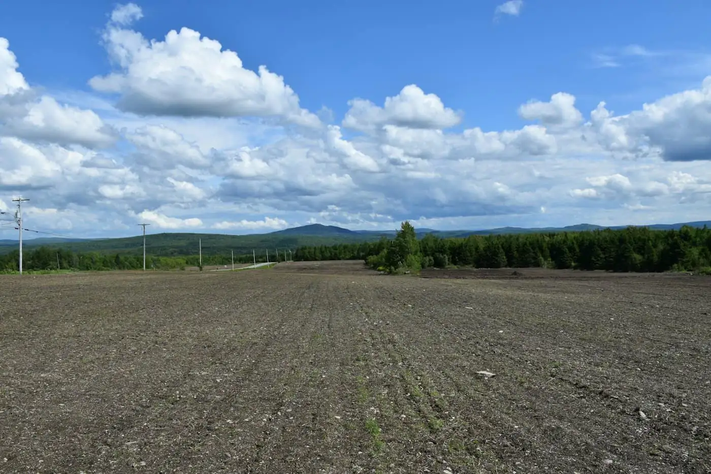 Empty fenced industrial plot with compacted gravel before the warehouse was built